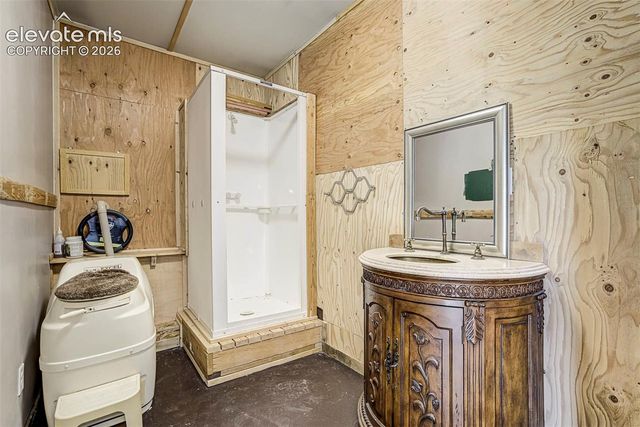 176 Chalk Circle Trail, Florissant, CO 80816