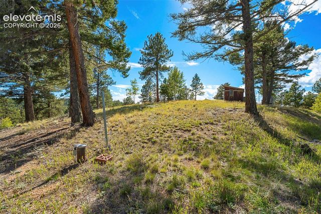 176 Chalk Circle Trail, Florissant, CO 80816