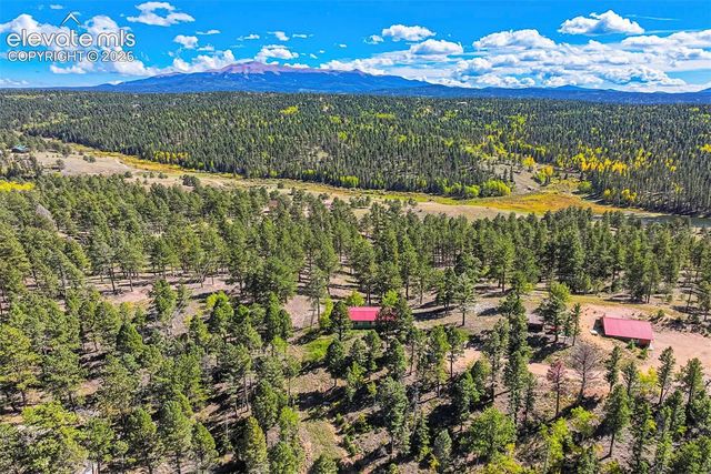 176 Chalk Circle Trail, Florissant, CO 80816