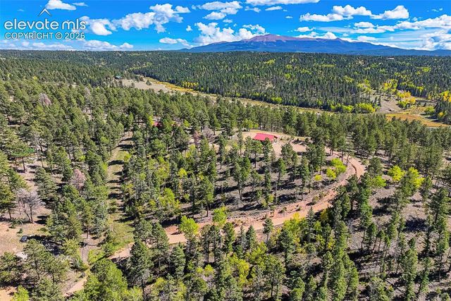 176 Chalk Circle Trail, Florissant, CO 80816