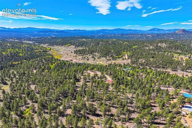 176 Chalk Circle Trail, Florissant, CO 80816