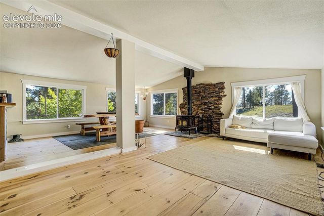 176 Chalk Circle Trail, Florissant, CO 80816