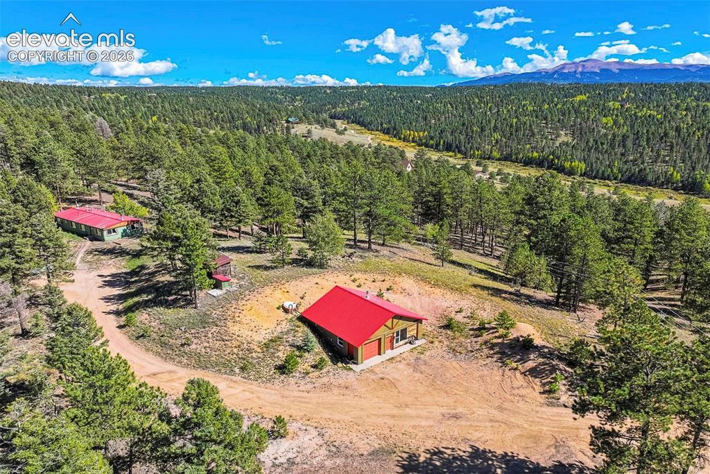 176 Chalk Circle Trail, Florissant, CO 80816