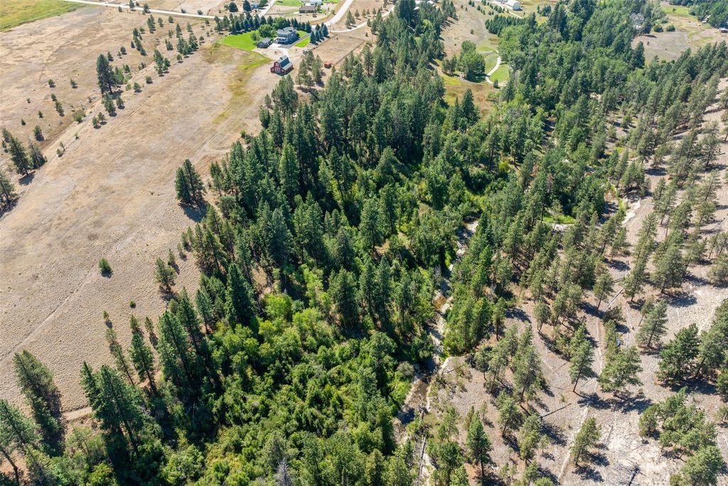 290 Bowman Road, Hamilton, MT 59840 photo 54