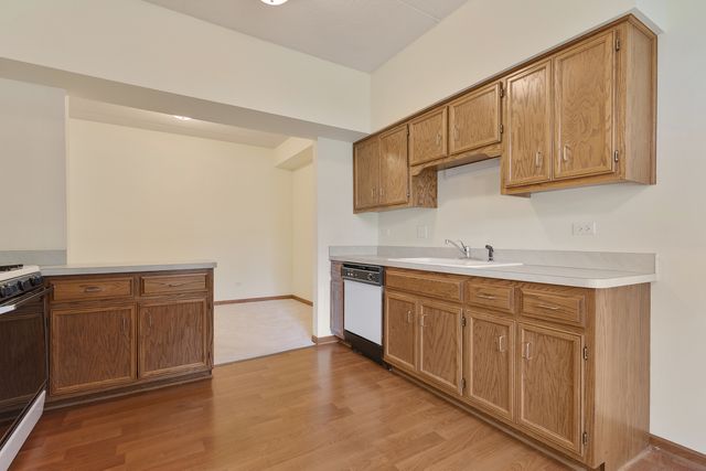 18423 PINE LAKE Drive 2, Tinley Park, IL 60477