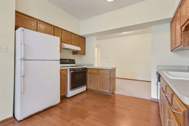 18423 PINE LAKE Drive 2, Tinley Park, IL 60477