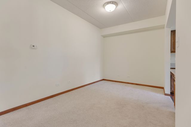18423 PINE LAKE Drive 2, Tinley Park, IL 60477