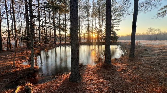 0 Seven Mile Ridge Rd, Indian Mound, TN 37079