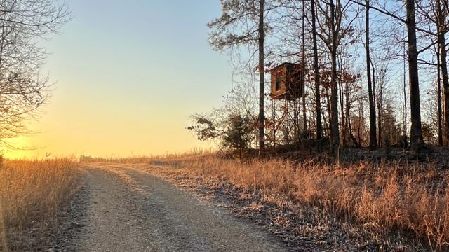 0 Seven Mile Ridge Rd, Indian Mound, TN 37079