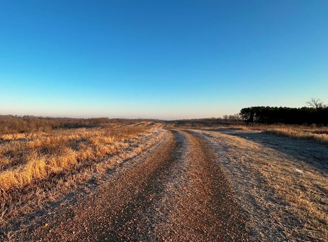 0 Seven Mile Ridge Rd, Indian Mound, TN 37079