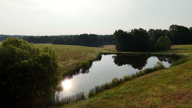 0 Seven Mile Ridge Rd, Indian Mound, TN 37079