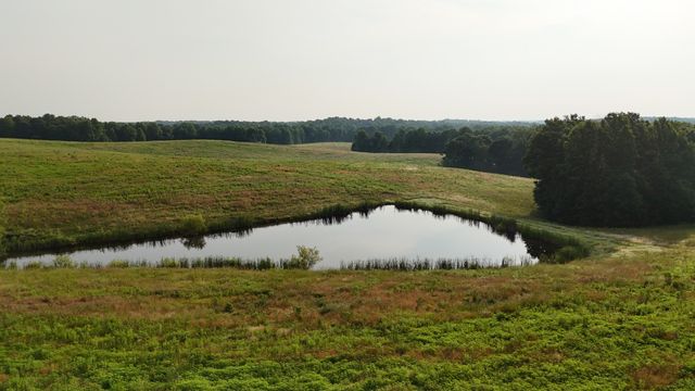 0 Seven Mile Ridge Rd, Indian Mound, TN 37079