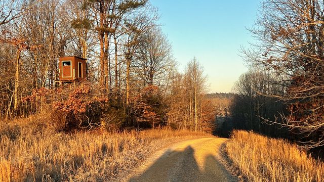 0 Seven Mile Ridge Rd, Indian Mound, TN 37079