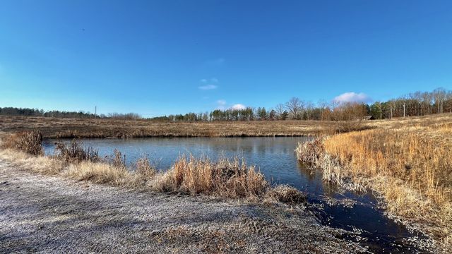 0 Seven Mile Ridge Rd, Indian Mound, TN 37079