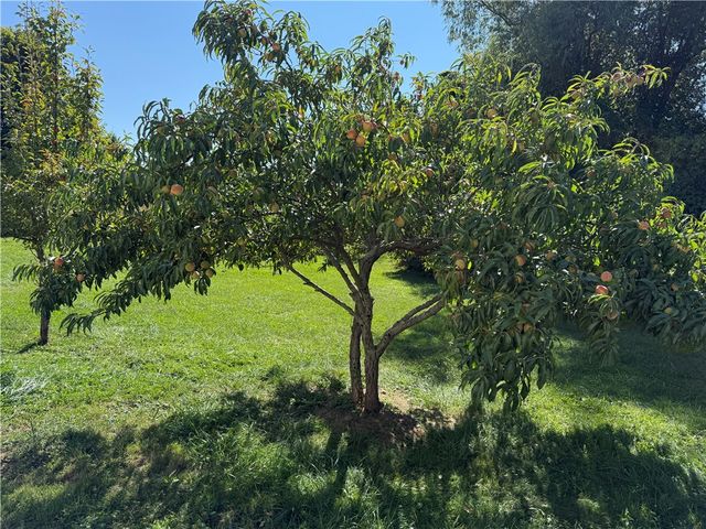 111 Shumway Road, Sweden, NY 14420