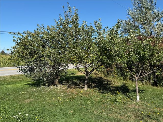 111 Shumway Road, Sweden, NY 14420