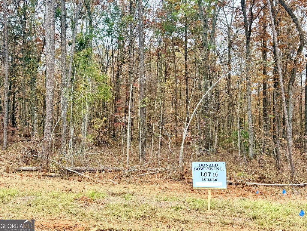 LOT 10 Rolling Meadows Way, Waverly Hall, GA 31831