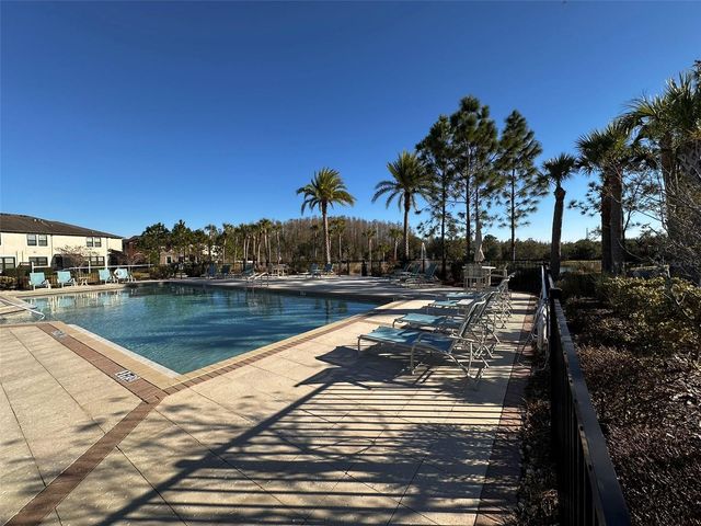 29850 SOUTHWELL LANE, Wesley Chapel, FL 33543