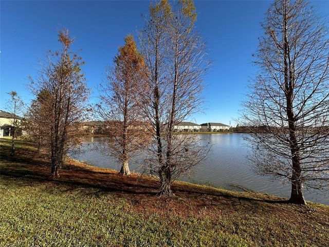 29850 SOUTHWELL LANE, Wesley Chapel, FL 33543