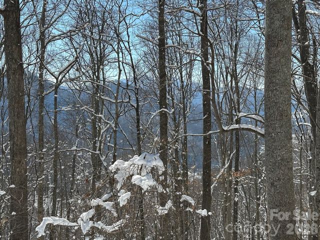 99999 North Fork Road, Barnardsville, NC 28709