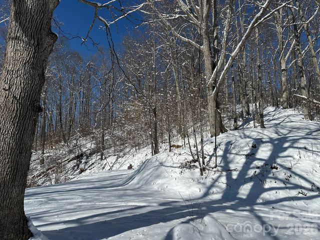 99999 North Fork Road, Barnardsville, NC 28709