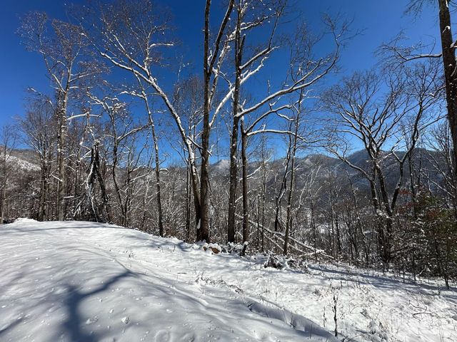 99999 North Fork Road, Barnardsville, NC 28709