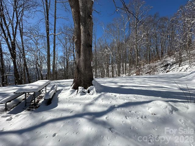 99999 North Fork Road, Barnardsville, NC 28709