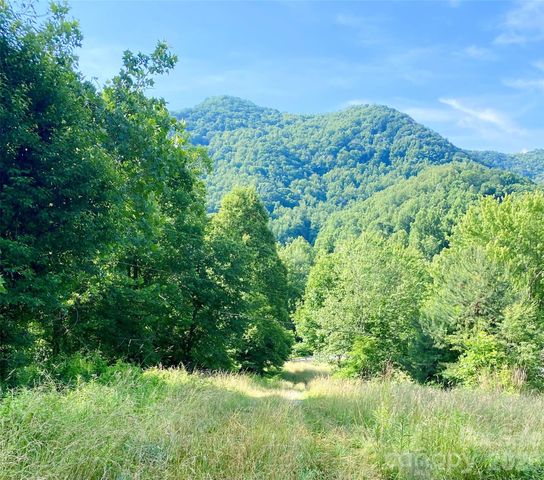 99999 North Fork Road, Barnardsville, NC 28709