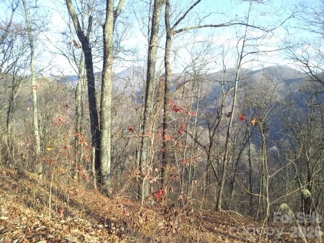 99999 North Fork Road, Barnardsville, NC 28709