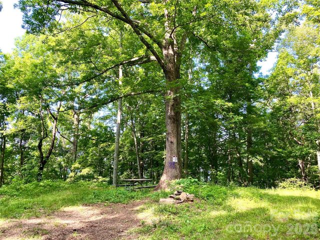 99999 North Fork Road, Barnardsville, NC 28709