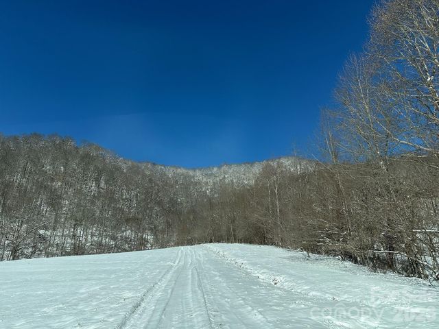 99999 North Fork Road, Barnardsville, NC 28709