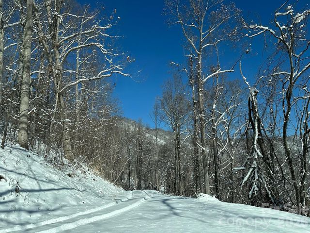 99999 North Fork Road, Barnardsville, NC 28709