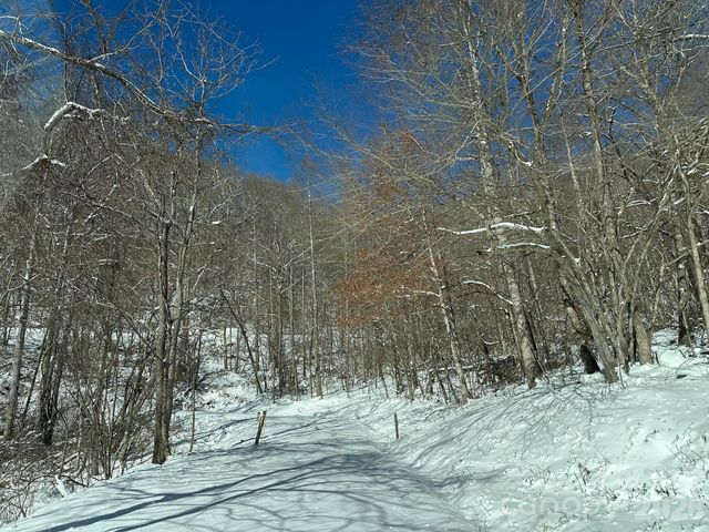 99999 North Fork Road, Barnardsville, NC 28709