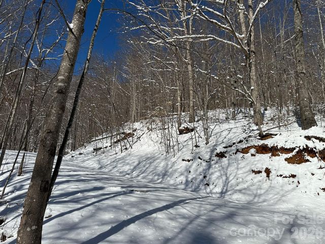 99999 North Fork Road, Barnardsville, NC 28709