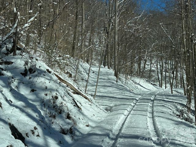 99999 North Fork Road, Barnardsville, NC 28709