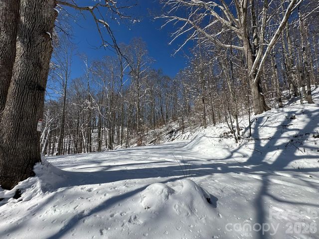 99999 North Fork Road, Barnardsville, NC 28709