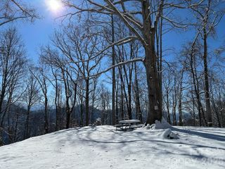 99999 North Fork Road, Barnardsville, NC 28709