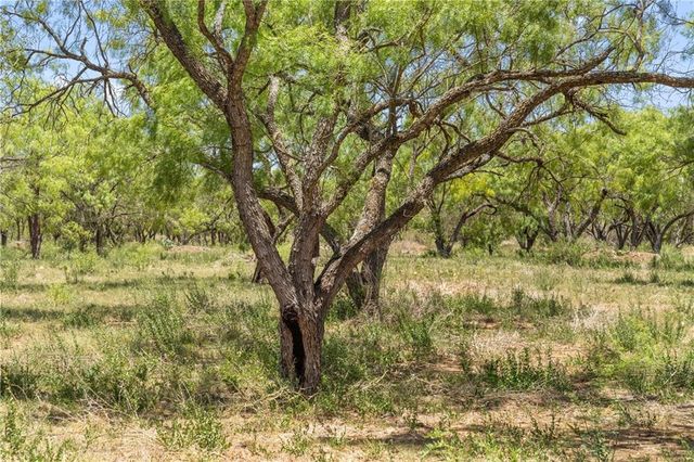 6411 County Rd 120, Marble Falls, TX 78654