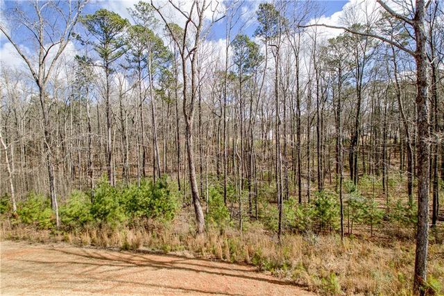 169 Emery Nell Lane, Newnan, GA 30263