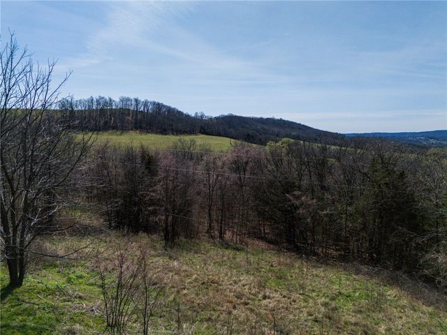 3369 CR 608, Berryville, AR 72616