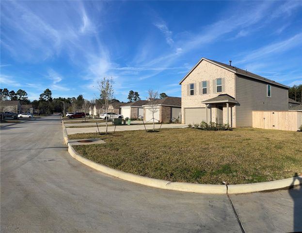 1391 Diamond Carnation Drive, Conroe, TX 77301