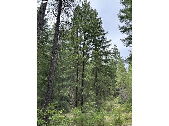 0 Forest Glen, Goldendale, WA 98620
