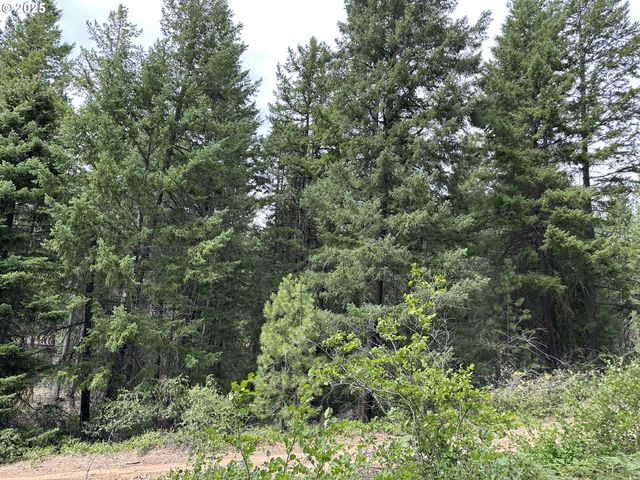 0 Forest Glen, Goldendale, WA 98620