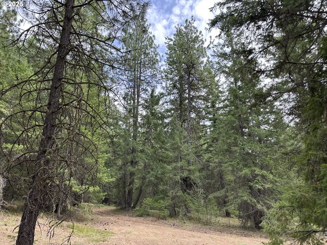 0 Forest Glen, Goldendale, WA 98620