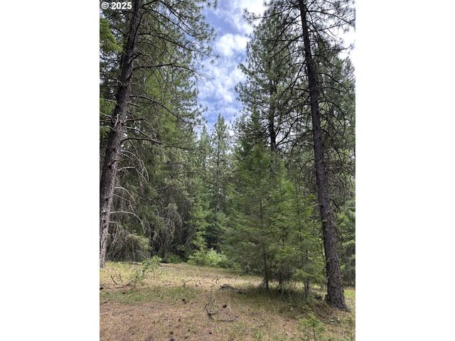 0 Forest Glen, Goldendale, WA 98620