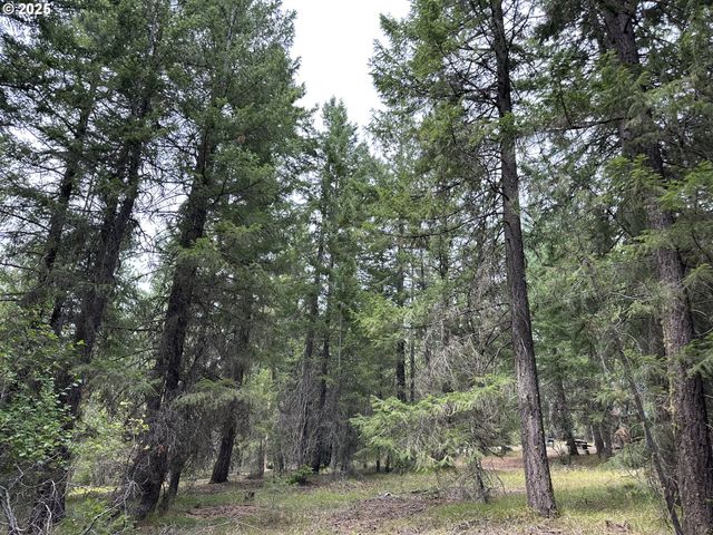 0 Forest Glen, Goldendale, WA 98620