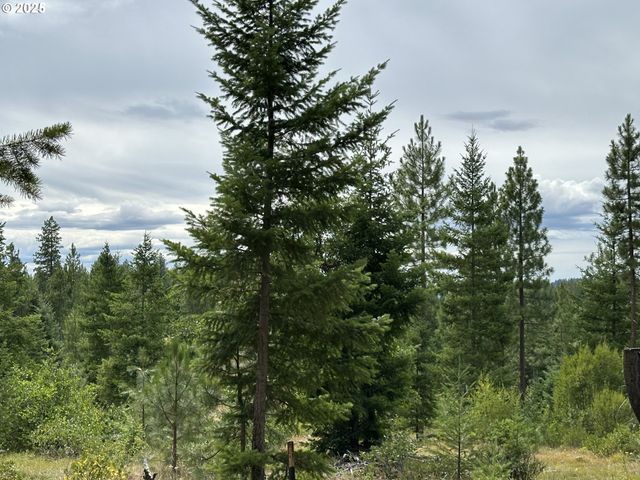 0 Forest Glen, Goldendale, WA 98620