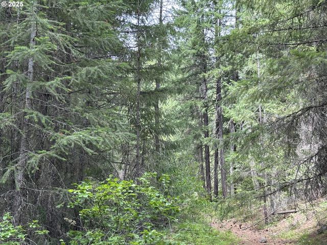 0 Forest Glen, Goldendale, WA 98620