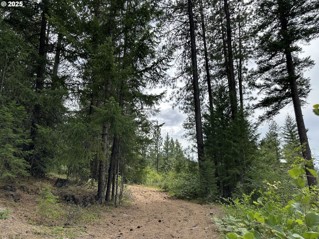 0 Forest Glen, Goldendale, WA 98620