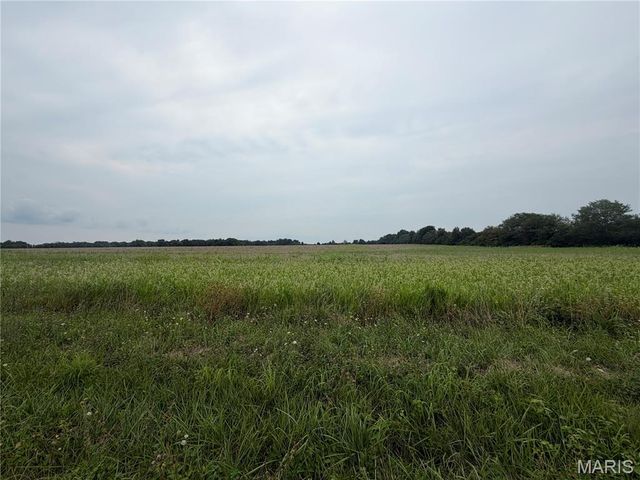 62.69 Acres Hickory Lick Rd., Wright City, MO 63390